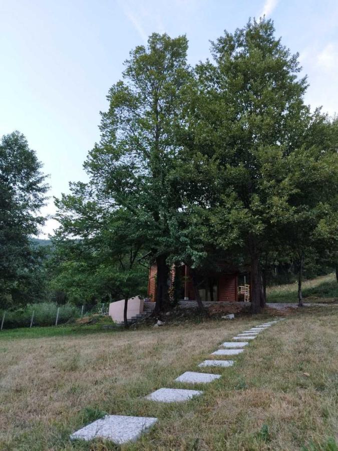 Bihać Kuca U Sumi - Forest House Near National Park Una - Air Spa Lohovo מראה חיצוני תמונה
