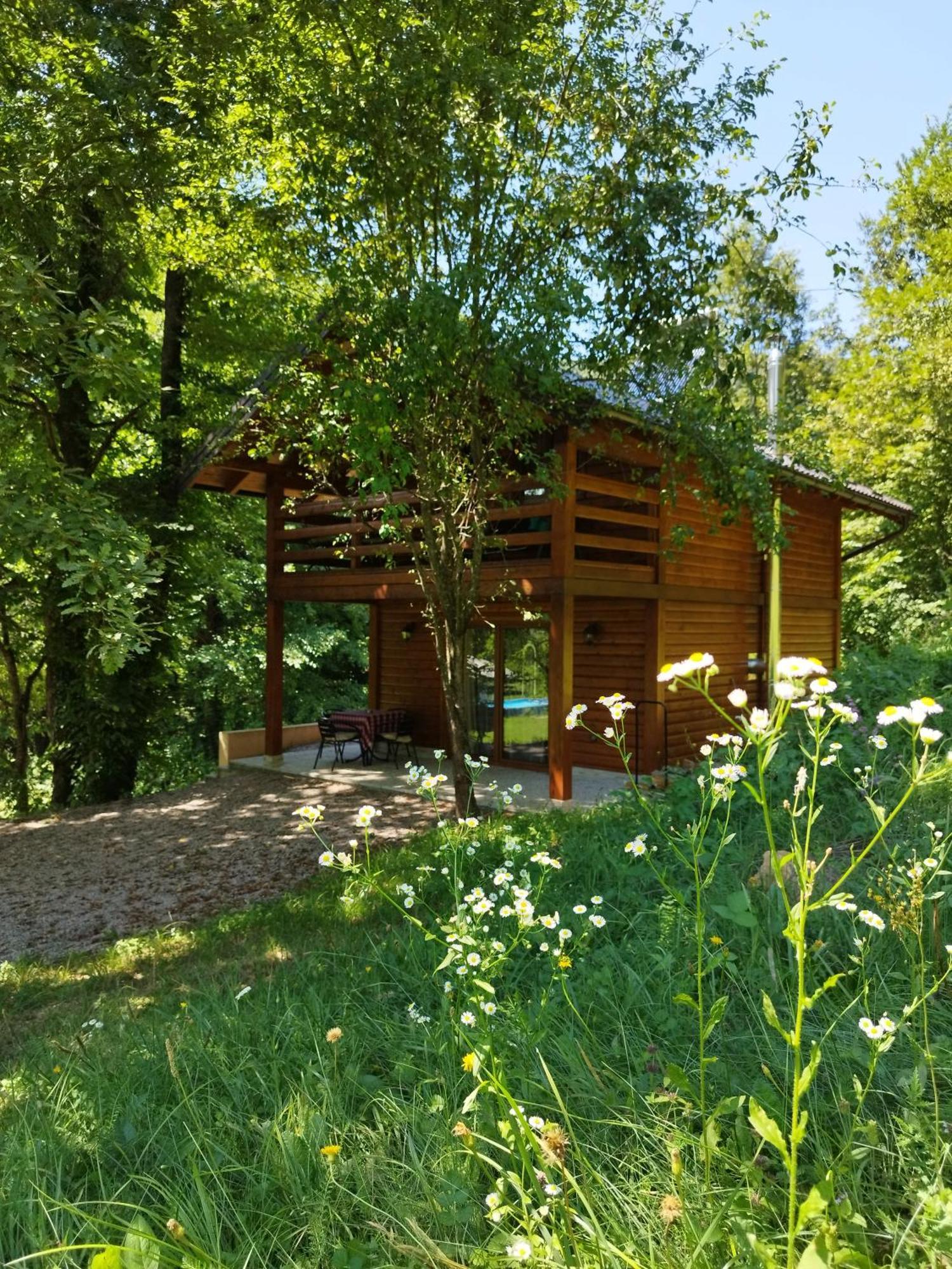 Bihać Kuca U Sumi - Forest House Near National Park Una - Air Spa Lohovo מראה חיצוני תמונה